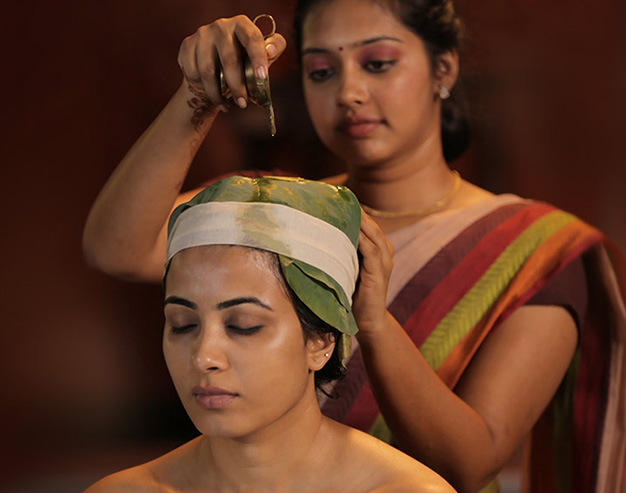 Ayurveda doctors and wellness team