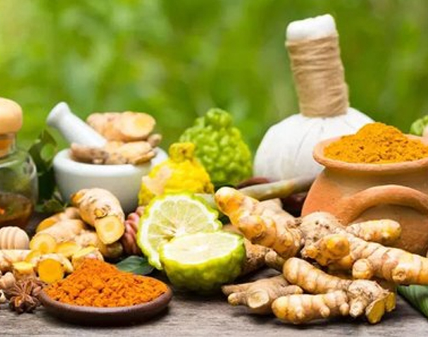 Ayurvedic wellness care